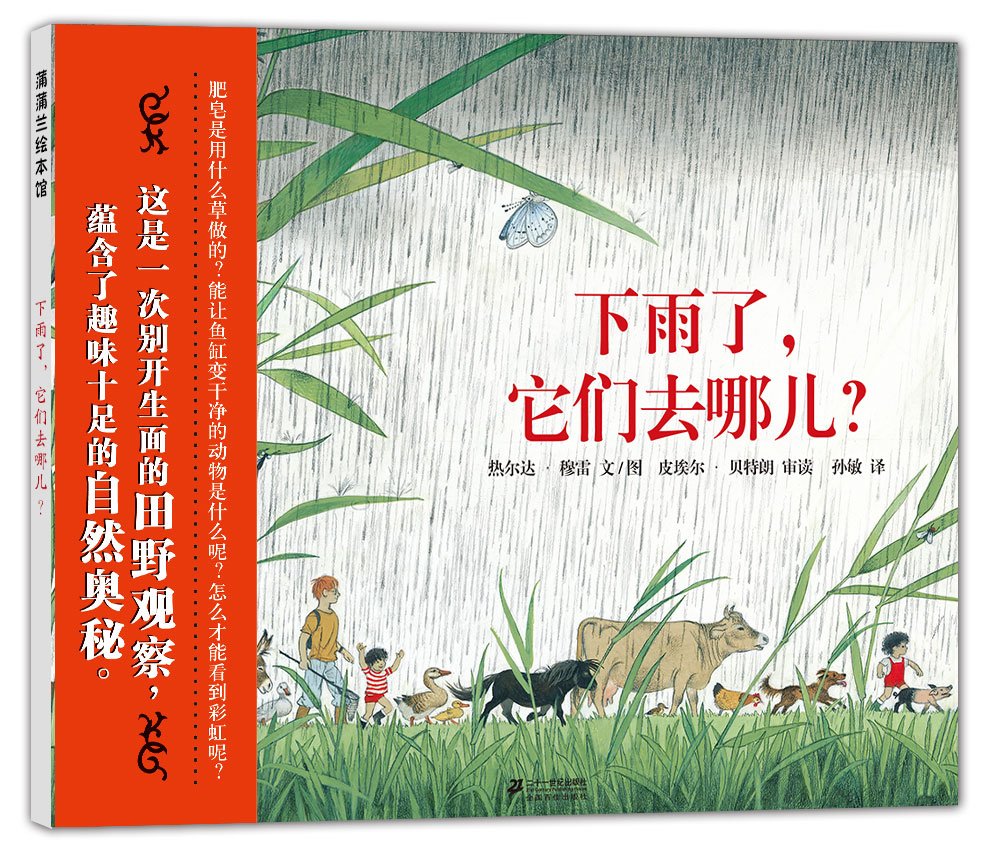 下雨了,它们去哪儿?