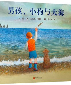 男孩、小狗与大海
