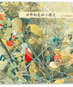 安野光雅大师精装绘本：田野的花和小精灵