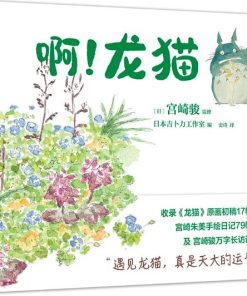 宫崎骏：啊！龙猫