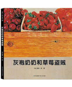 无字书：灰袍奶奶和草莓盗贼