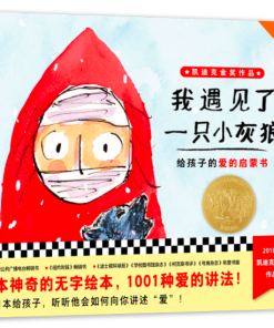 无字书：我遇见了一只小灰狼