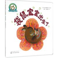 袋鼠宝宝出生了（平装）