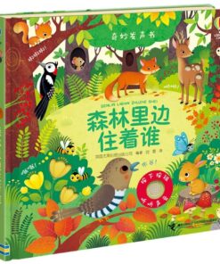奇妙发声书：森林里边住着谁