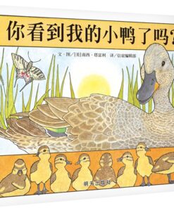 你看到我的小鸭了吗？