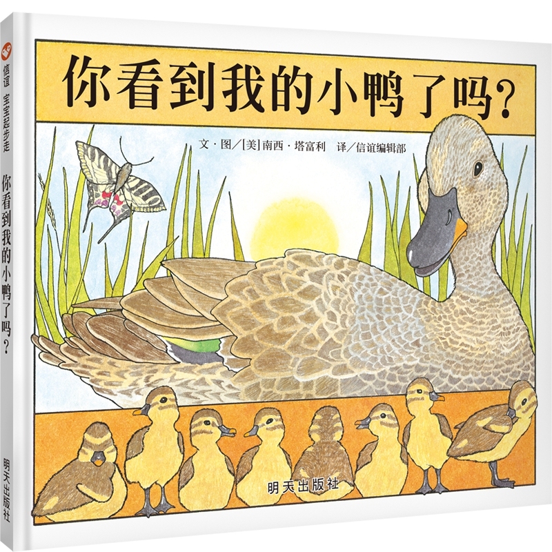 你看到我的小鸭了吗?