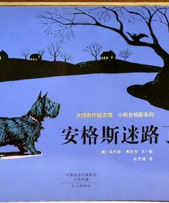 安格斯迷路了（平装）